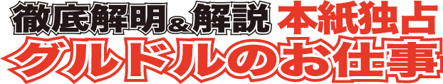 徹底解明＆解説 本誌独占 グルドルのお仕事